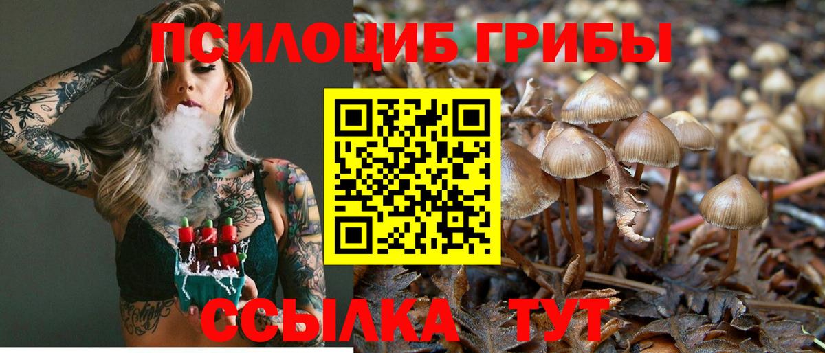 Галлюциногенные грибы Magic Shrooms  Вход с VPN  Светлоград 